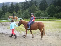 2009-1-002.webp