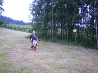 2009-1-006.webp