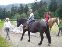2009-1-051.webp