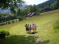 2009-1-068.webp
