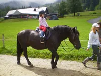 2009-1-069.webp