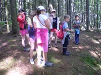 2009-1-091.webp