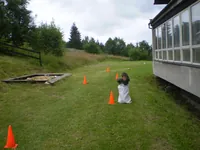 2009-1-097.webp