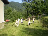 2009-1-098.webp
