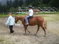 2009-2-041.webp