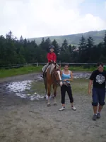 2009-2-043.webp