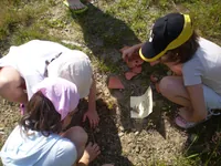 2009-2-062.webp
