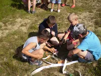 2009-2-071.webp