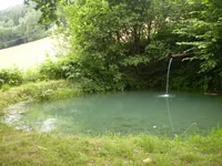 2009-2-072.webp