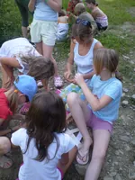 2009-2-073.webp
