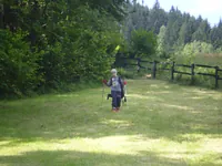 2009-2-095.webp