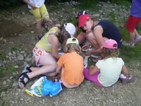 2009-2-144.webp