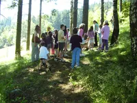 2010-073.webp