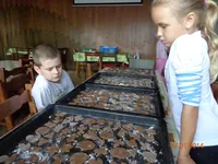 2014-1-045.webp