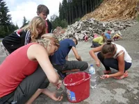 2014-2-046.webp