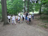 2014-2-064.webp
