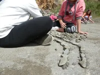 2014-2-071.webp