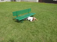 2014-2-098.webp