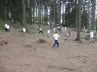 2014-2-100.webp