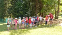 2015-1-028.webp