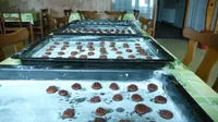2015-1-072.webp