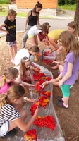 2015-1-102.webp
