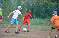 2015-2-036.webp