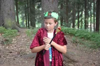 2015-2-038.webp