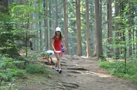 2015-2-071.webp