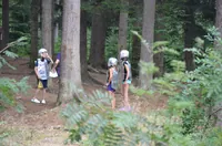 2015-2-109.webp