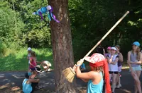 2015-2-113.webp