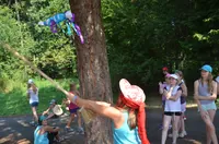 2015-2-119.webp