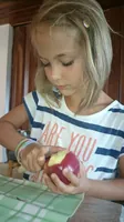 2016-1-035.webp