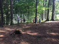 2017-2-060.webp