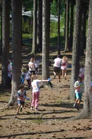2018-2-008.webp