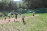 2019-2-002.webp