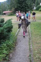 2019-2-062.webp