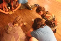 2020-2-036.webp